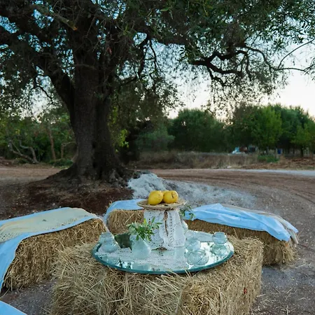 Tatil Evi Dimora Allegretti