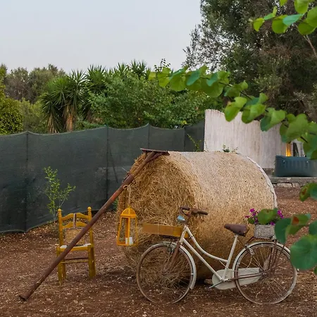 Dimora Allegretti Tatil Evi
