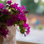 Dimora Allegretti Tatil Evi *